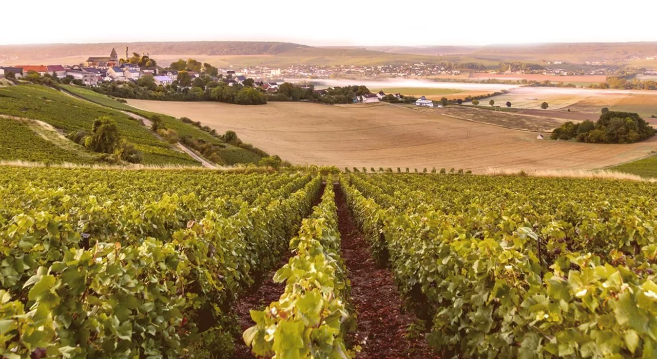 ontdek hoe saint-jean-d’illac zich vormgeeft in de champagnestreek, een unieke mix van cultuur en natuur in frankrijk.