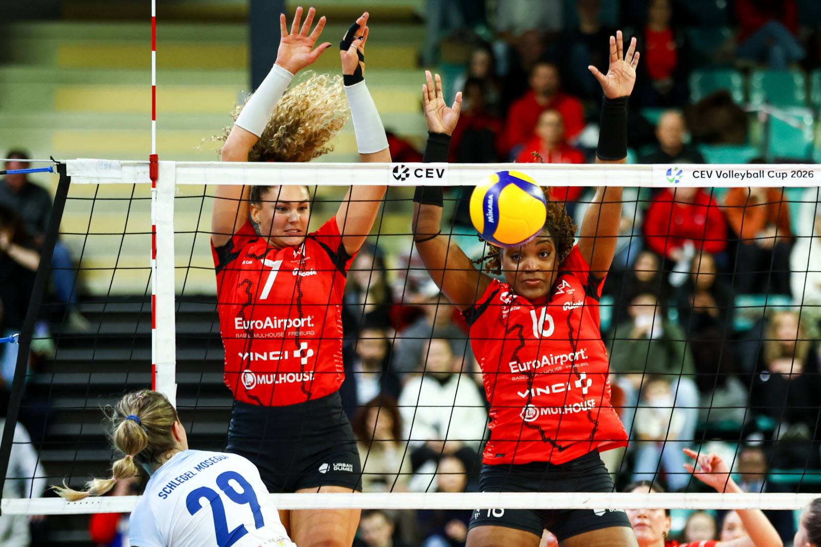 volleybalteam mulhouse bereikt de franse bekerfinale na een indrukwekkende prestatie in het toernooi.